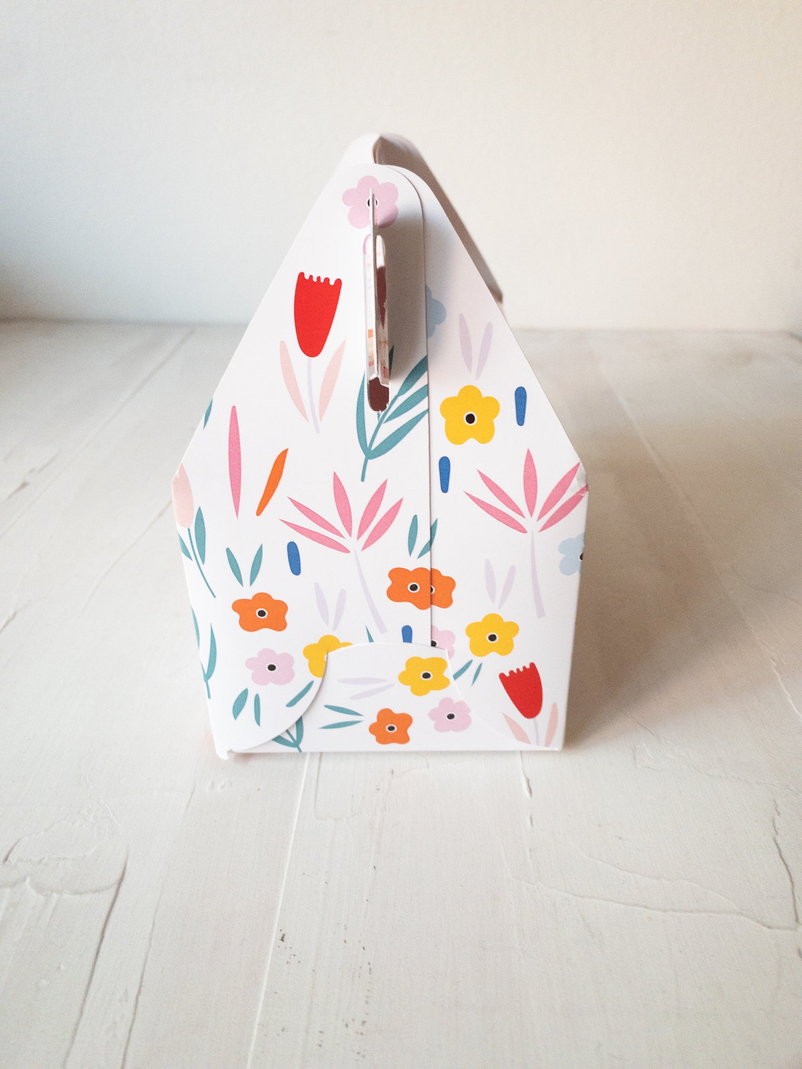 12 CAJAS ANIMALES 9,5 ALTO X 9,5 ANCHO X 17 LARGO - DETALLES PINCHANDO LA FOTO