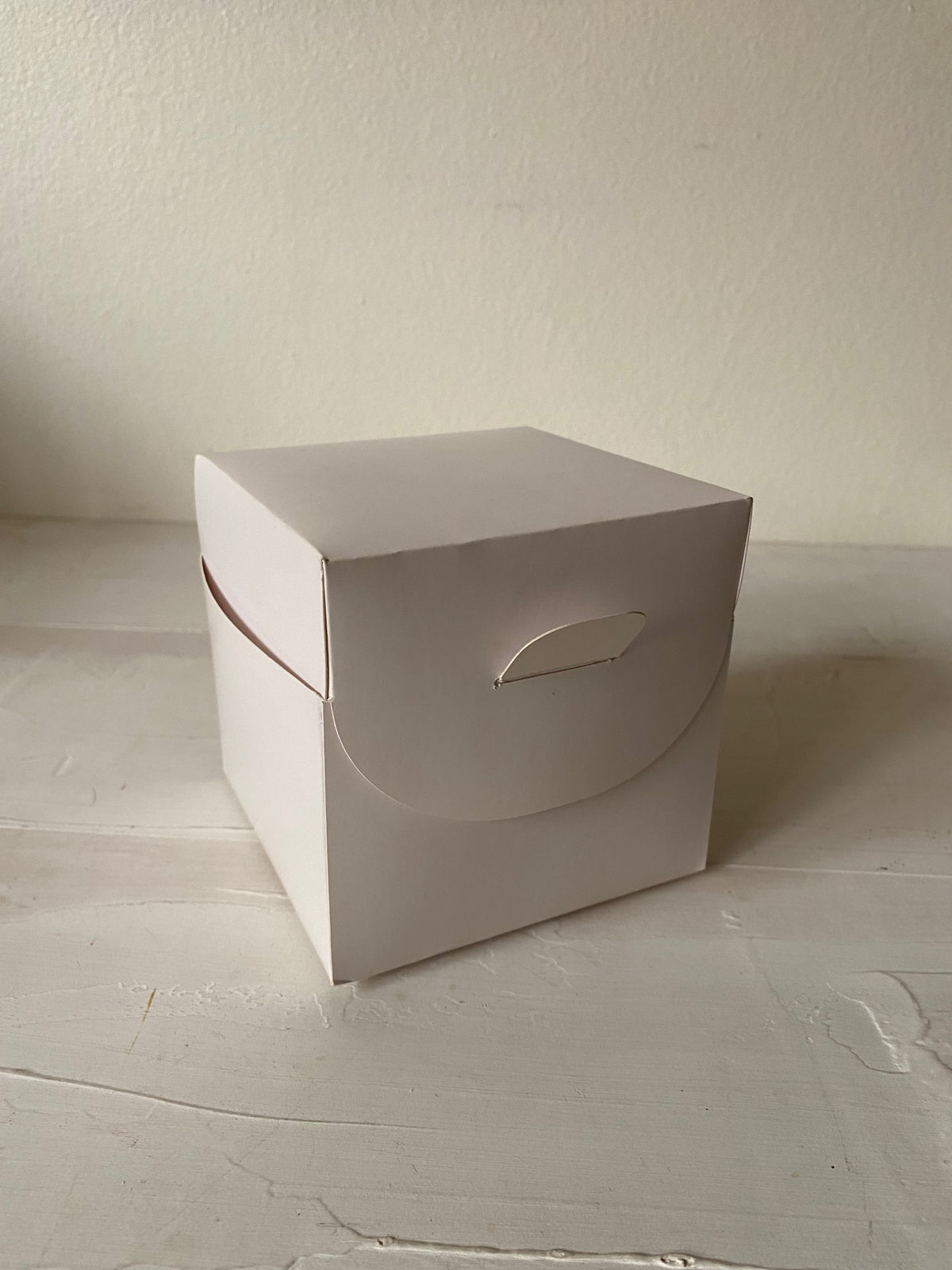 12 CAJAS - SACA LA LENGUA