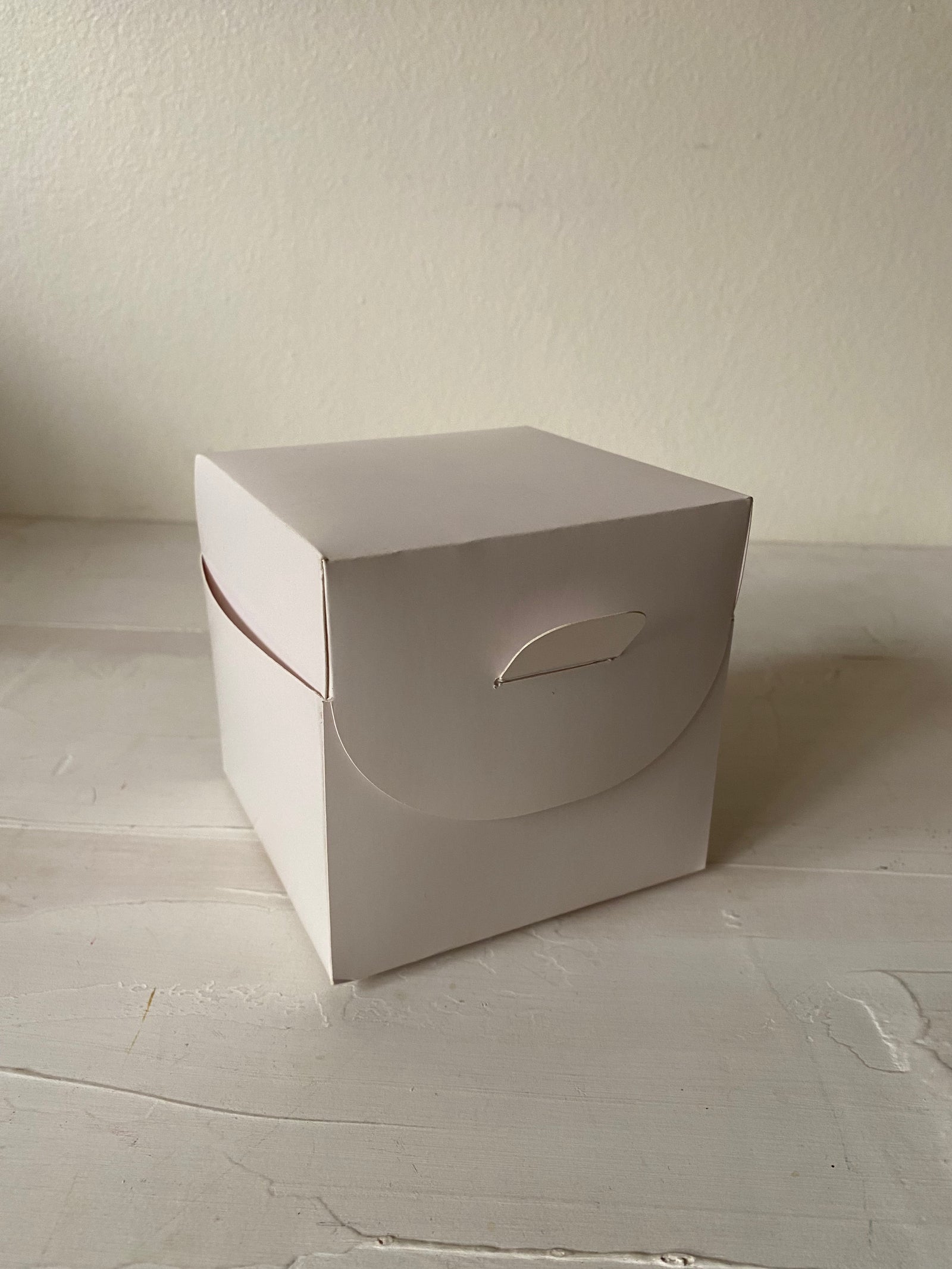 12 CAJAS - SACA LA LENGUA