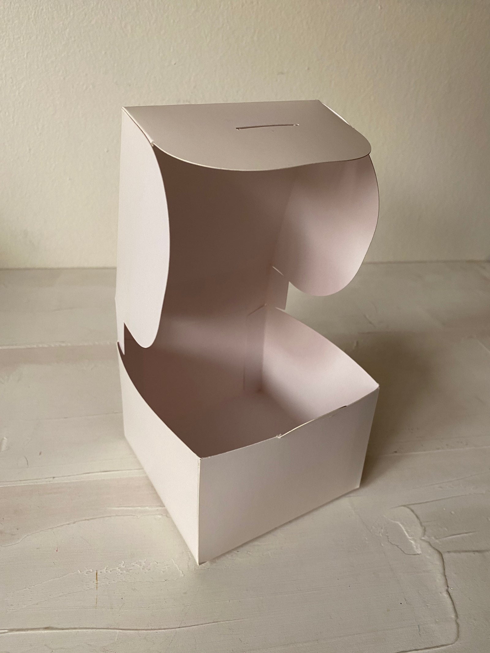 12 CAJAS - SACA LA LENGUA