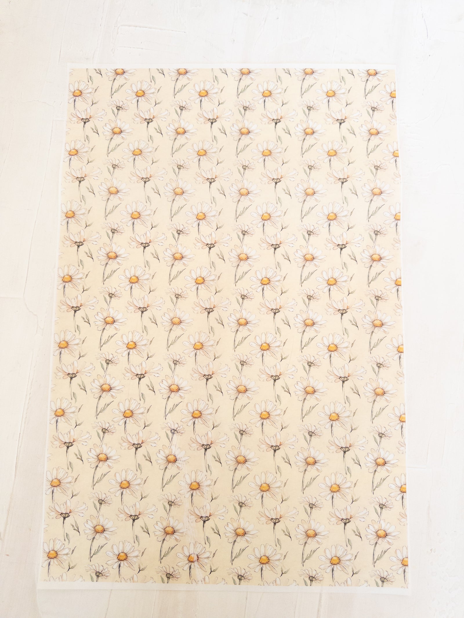 50 MANTEQUILLAS 33X50 CM - CONEJOS VINTAGE 7 - CLICK EN FOTO PARA MÁS INFO