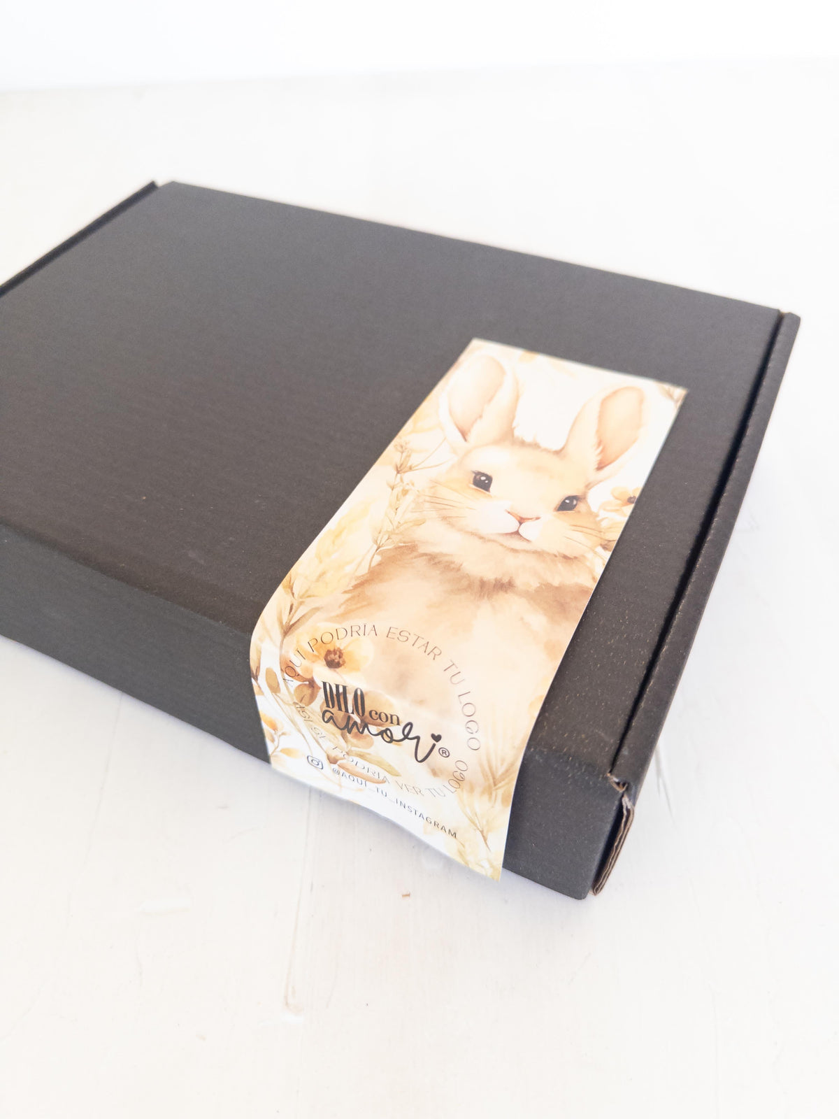 14 STICKER 6X16 CM - CIERRE CAJA PACK PASCUA PAULITA / INGRESA EN LA FOTO PARA INFO