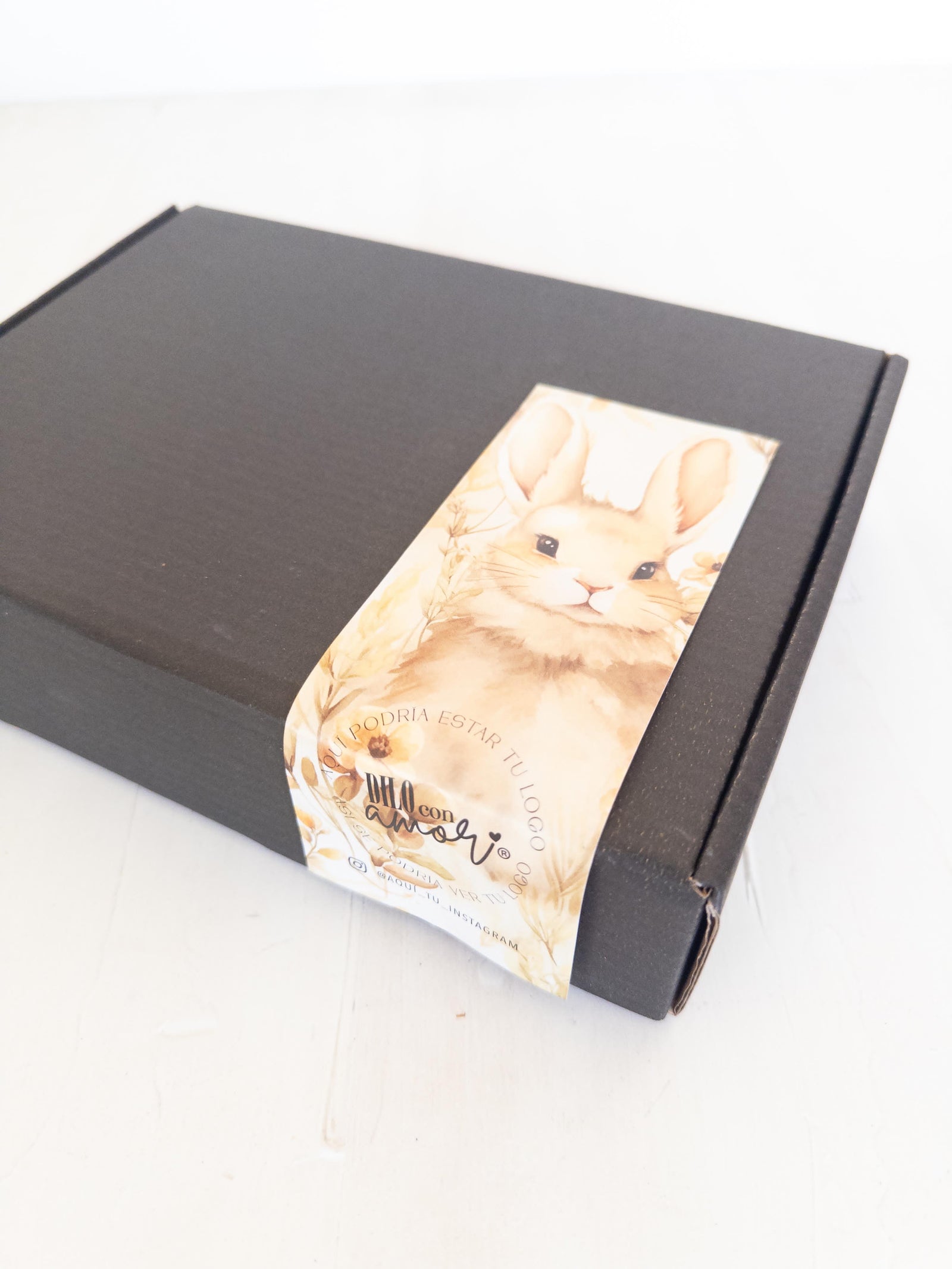 14 STICKER 6X16 CM - CIERRE CAJA PACK PASCUA PAULITA / INGRESA EN LA FOTO PARA INFO