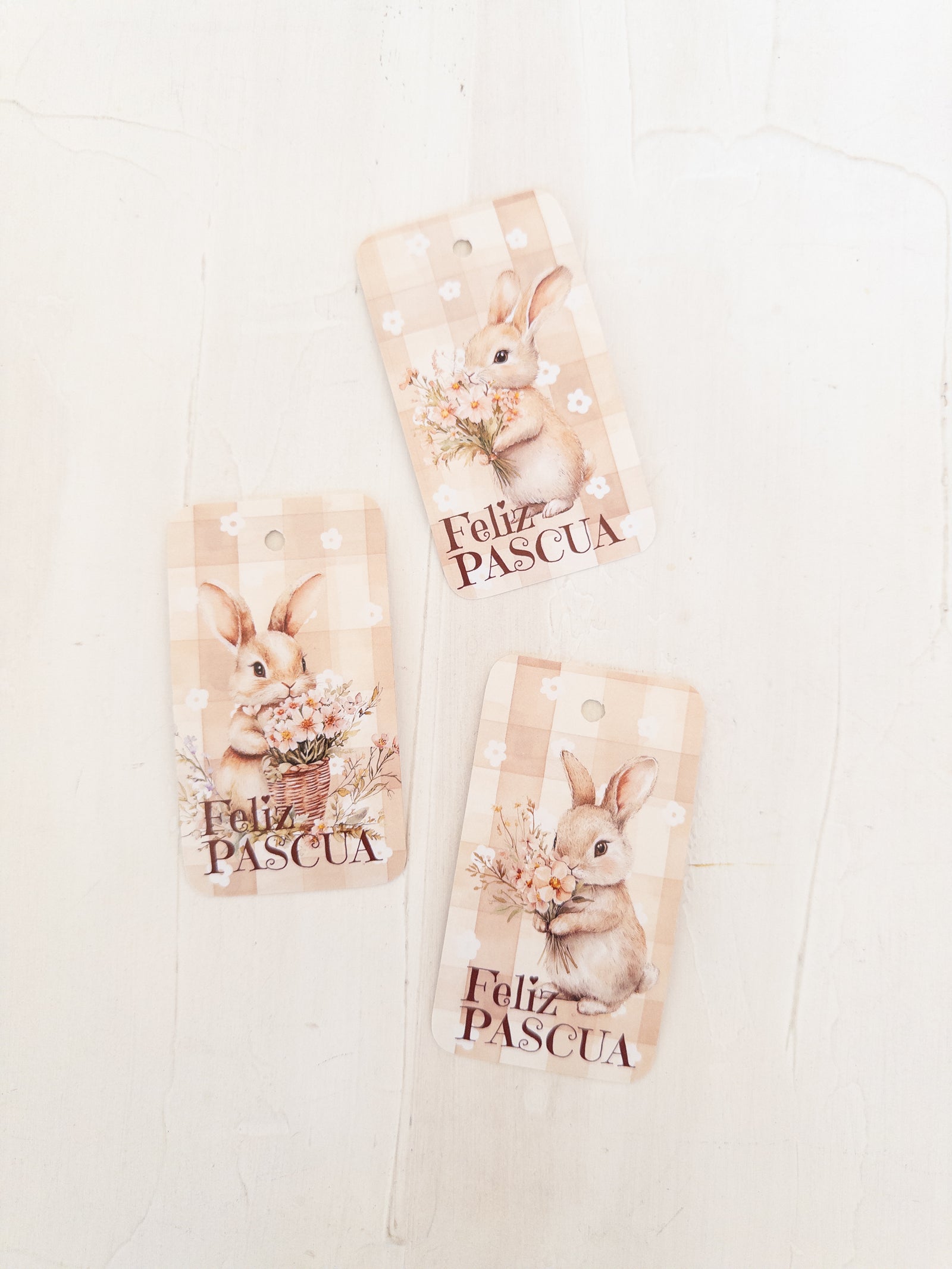 TAG 5X9 CMS -  30 UNIDADES - MIX 1 - MÁS INFO CLICK FOTO