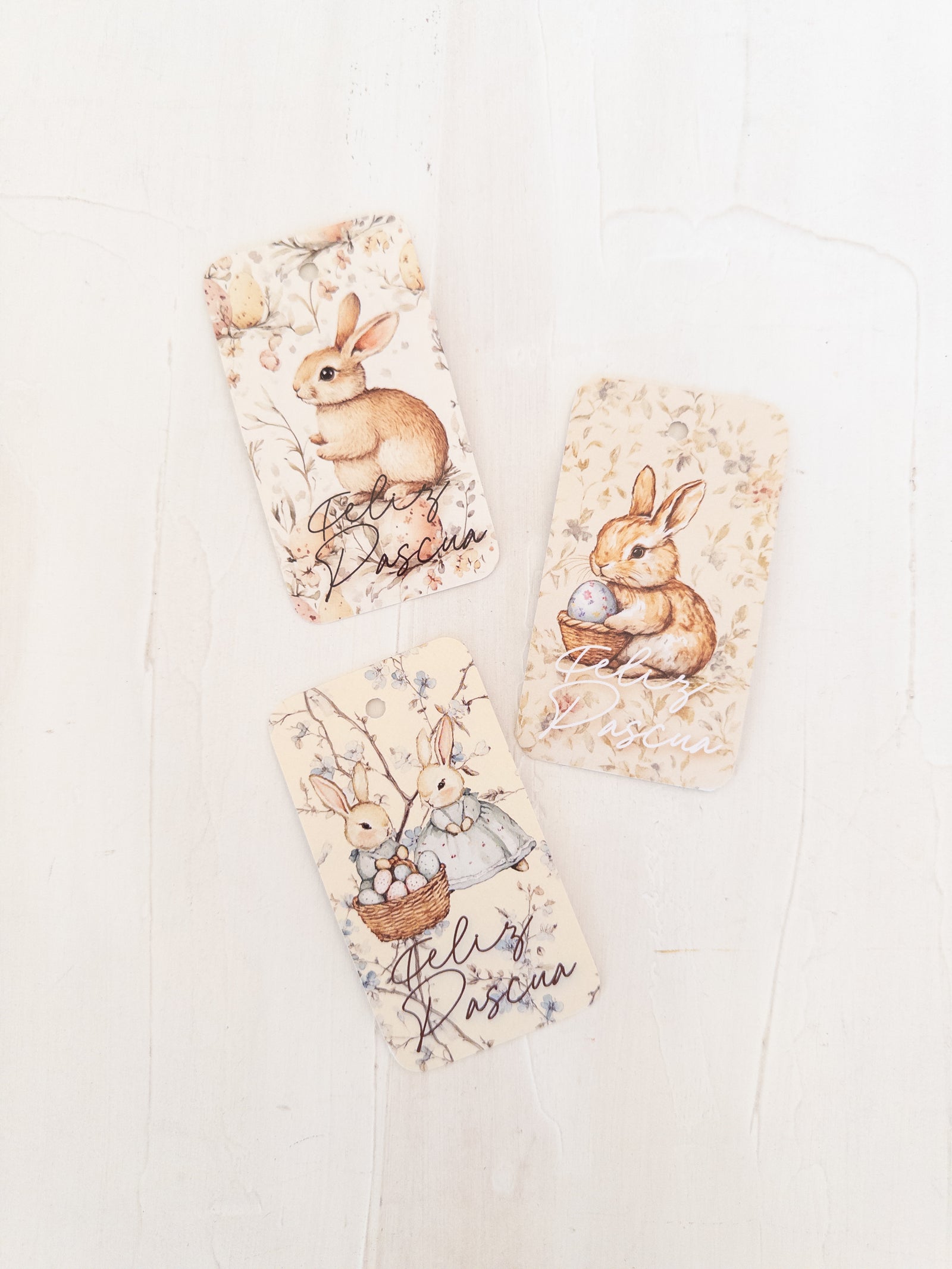 TAG 5X9 CMS -  30 UNIDADES - MIX 2 - MÁS INFO CLICK FOTO