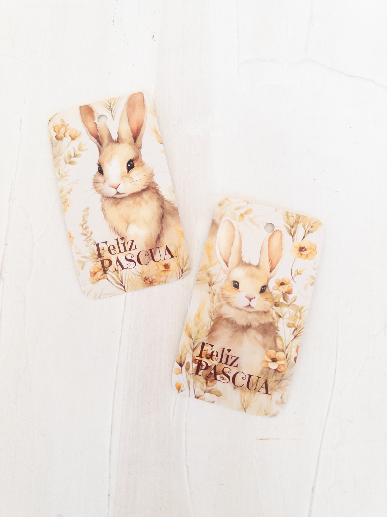 TAG 5X9 CMS -  30 UNIDADES - MIX 3 - MÁS INFO CLICK FOTO