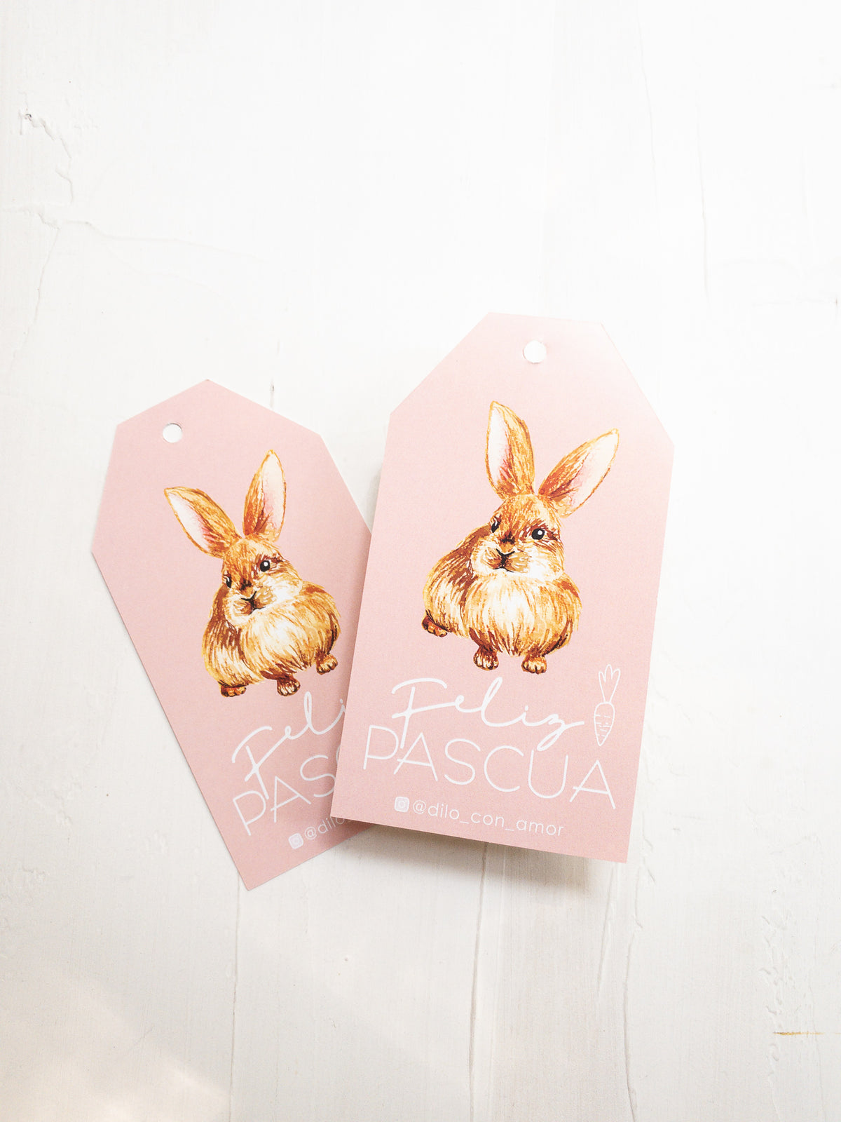 40 TAG SWEET BUNNY - MÁS INFO CLICK FOTO