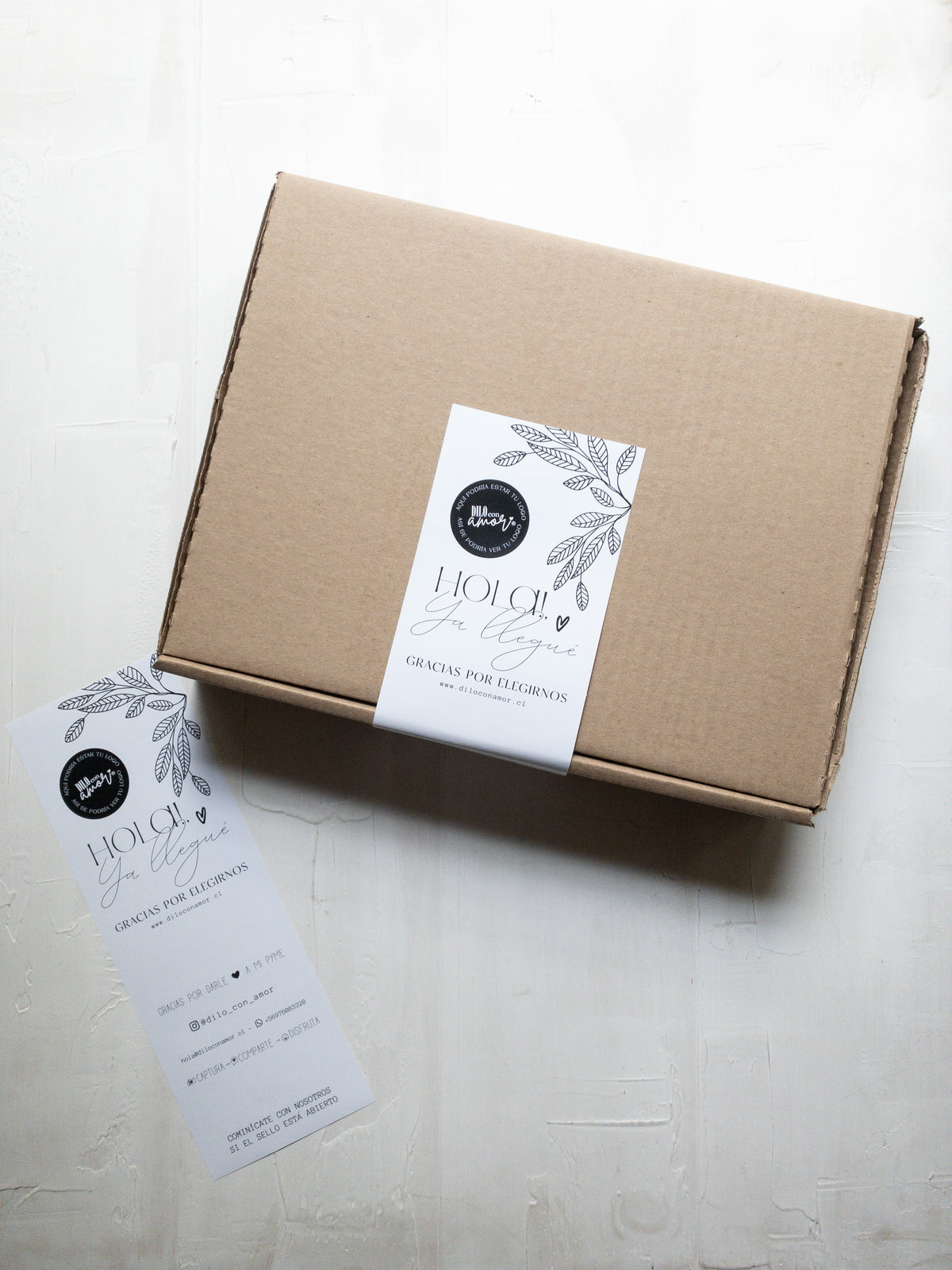 32 STICKER LARGO PARA CAJAS - HOLA!, YA LLEGUÉ