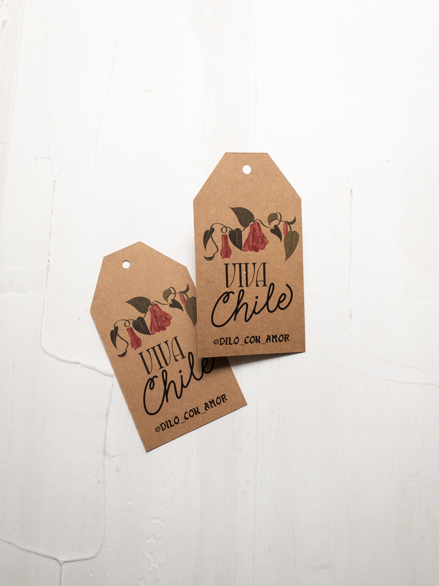 40 TAGS 6X11 CM -  COPIHUE / INGRESA EN LA FOTO PARA OPCIONES