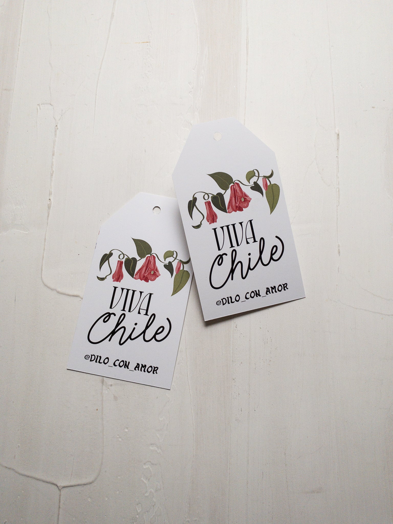 40 TAGS 6X11 CM -  COPIHUE / INGRESA EN LA FOTO PARA OPCIONES