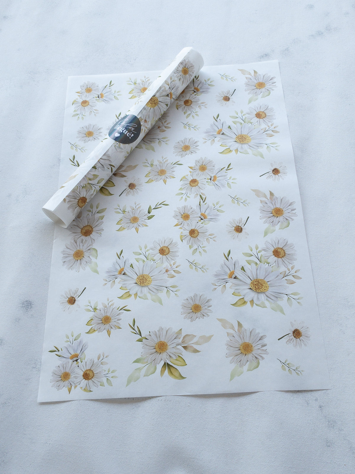 50 MANTEQUILLAS 33X50 CMS - SIN LOGO - DAISY