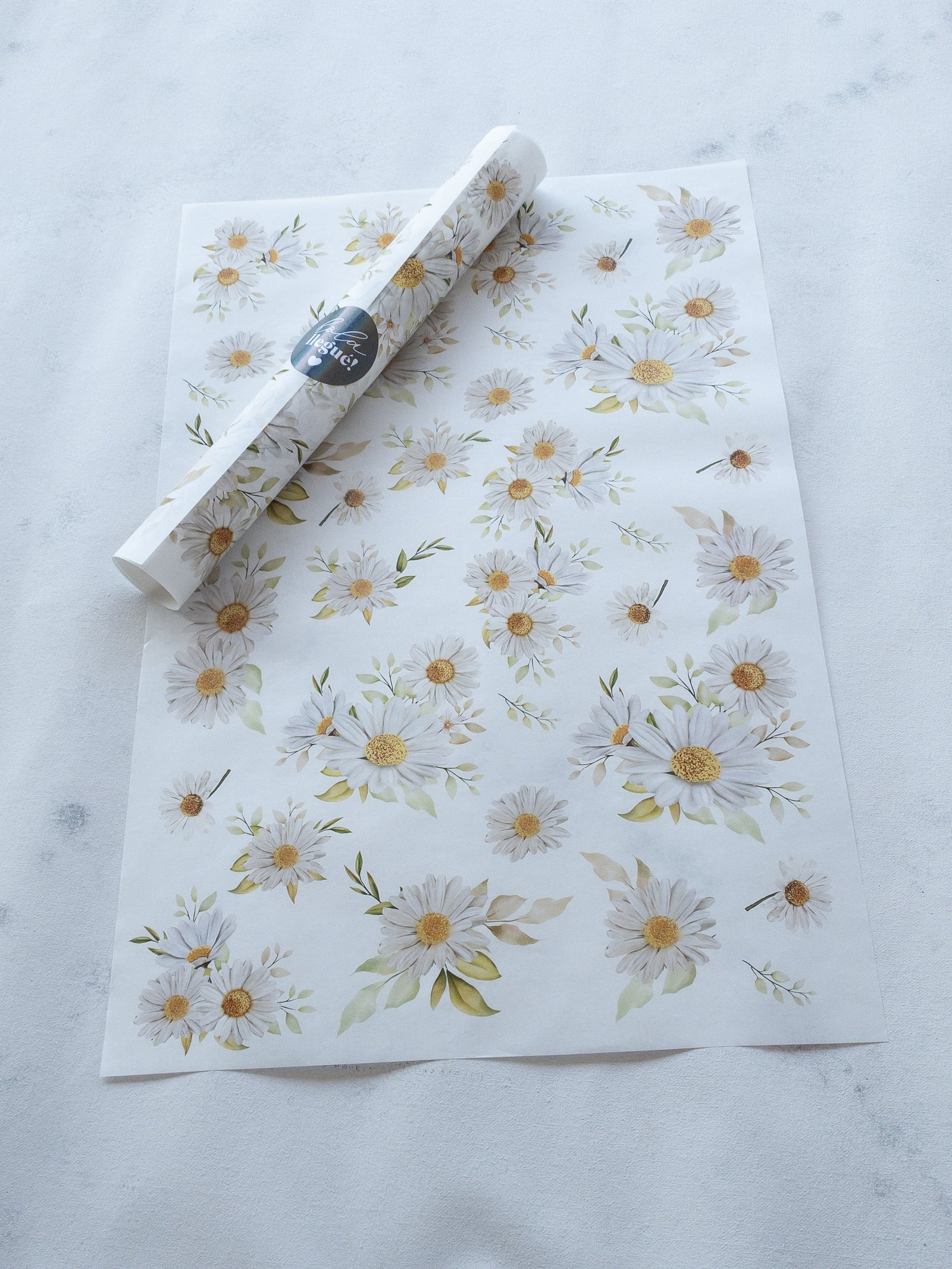 50 MANTEQUILLAS 33X50 CMS - SIN LOGO - DAISY