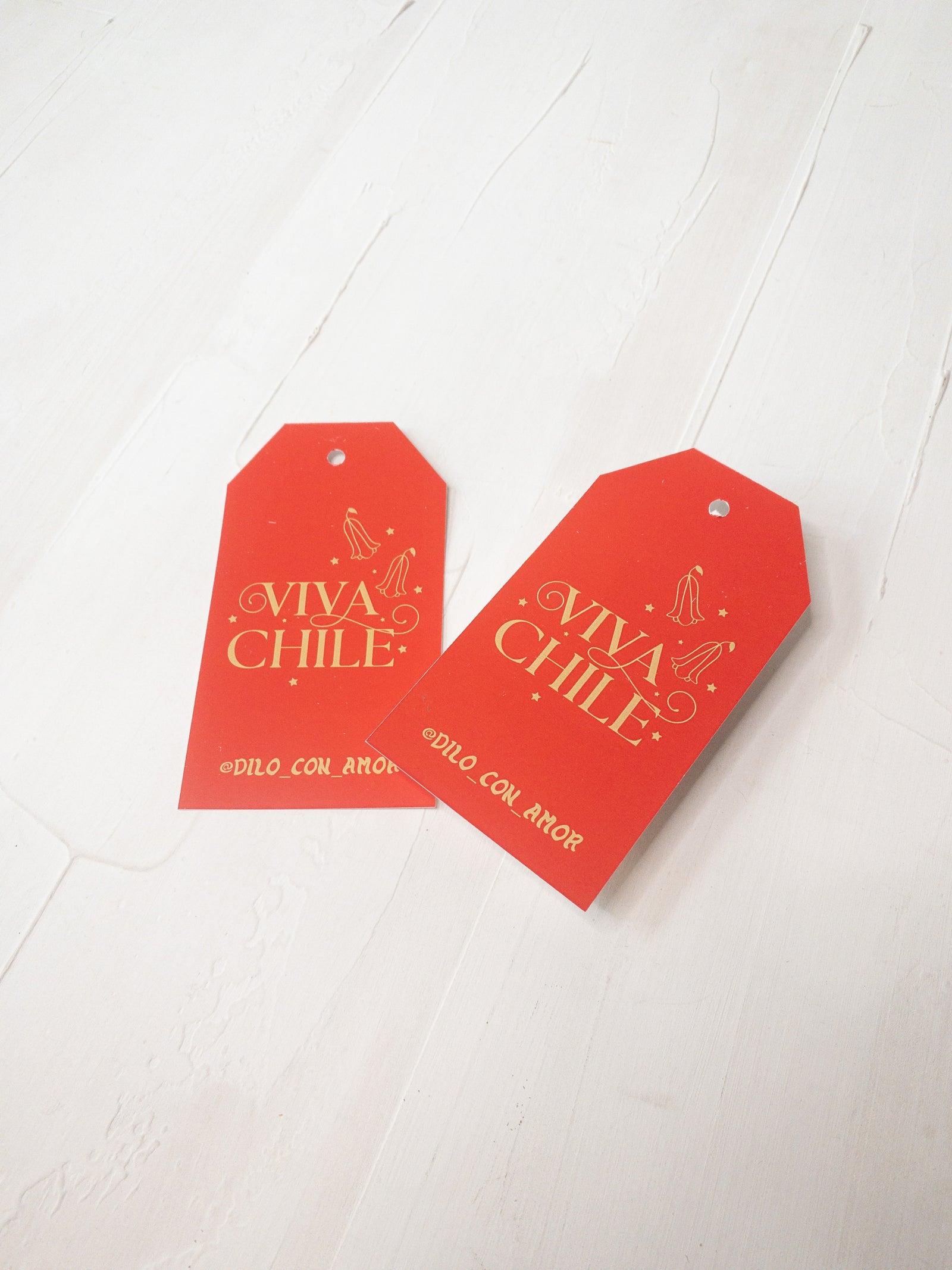 40 TAGS 6X11 CM -  CHILE Y COPIHUES! / INGRESA EN LA FOTO PARA OPCIONES