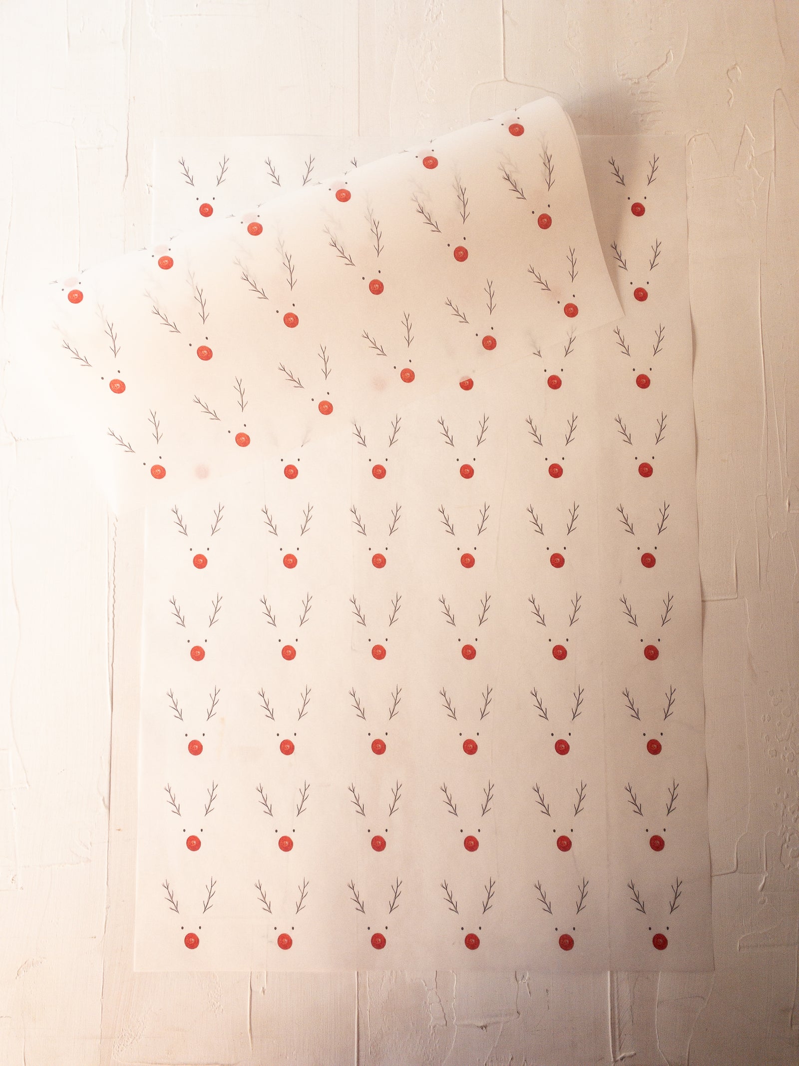 50 PAPELES  33X50 CM - SOLITO EL RUDOLF + INFO PINCHANDO LA FOTO