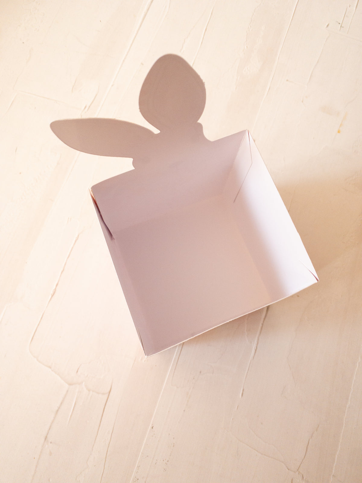 12 CAJAS CONEJO 10,5 ALTO X 10,5 ANCHO X 10,5 LARGO cms - SIN CINTA - DETALLES PINCHANDO LA FOTO